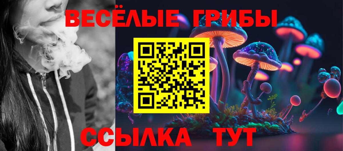 Галлюциногенные грибы мухоморы  Вход с VPN  Чебаркуль 